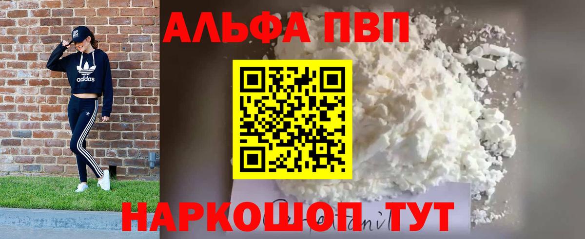 Alfa_PVP СК Дубна