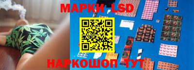 гидропоника Кулебаки