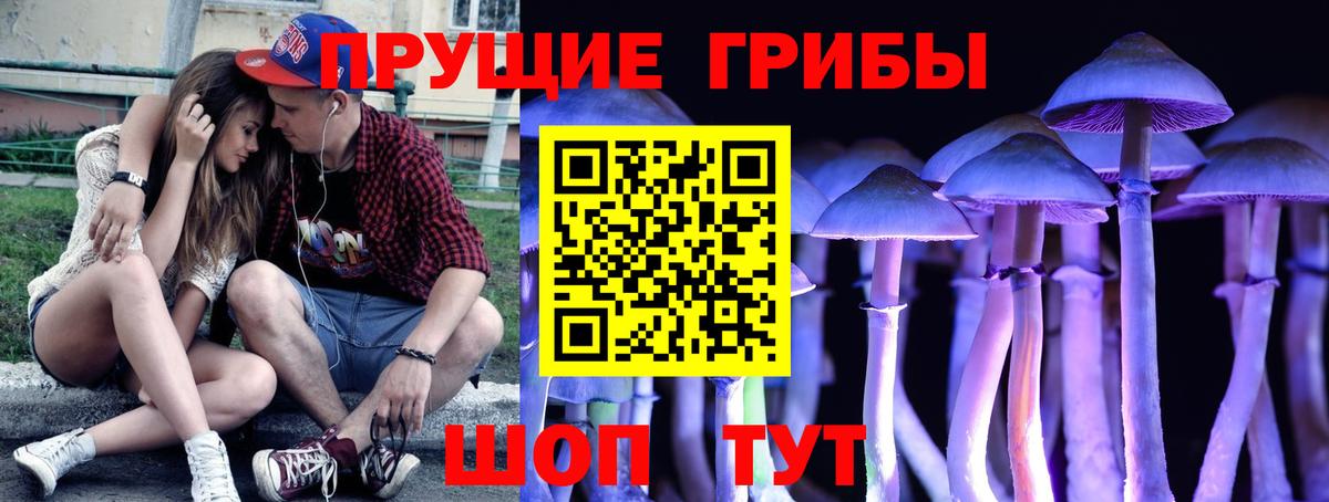 Галлюциногенные грибы Cubensis Дубна