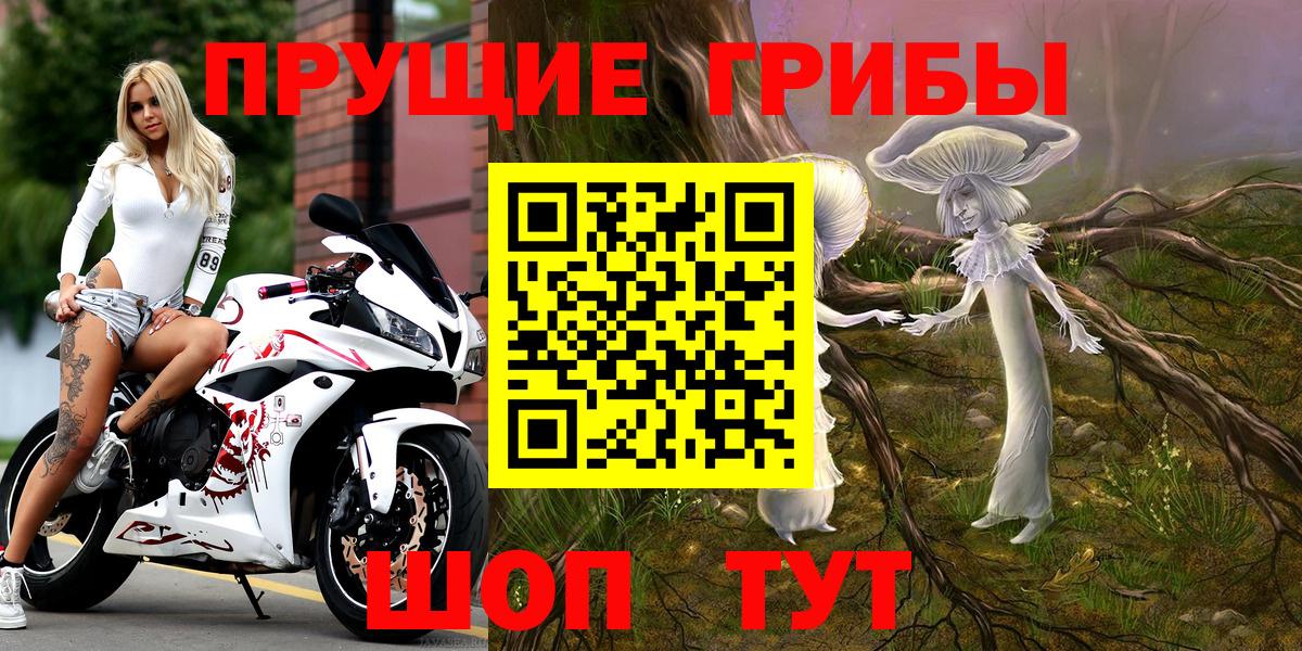 Галлюциногенные грибы GOLDEN TEACHER  Вход с VPN  Псилоцибиновые грибы ЛСД  Дубна 